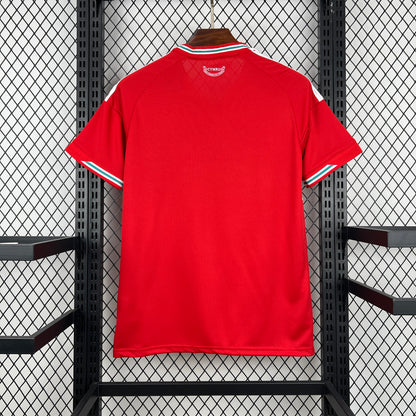 Wales Home Jersey
