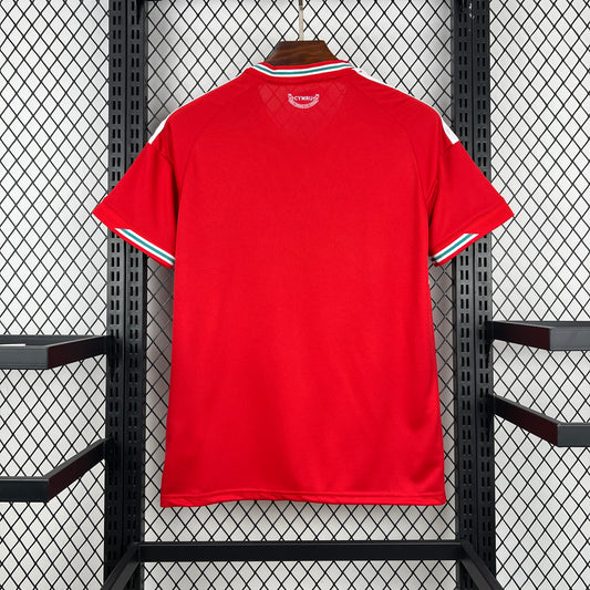 Wales Home Jersey