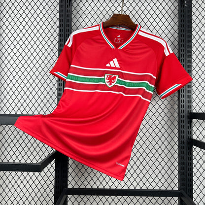 Wales Home Jersey